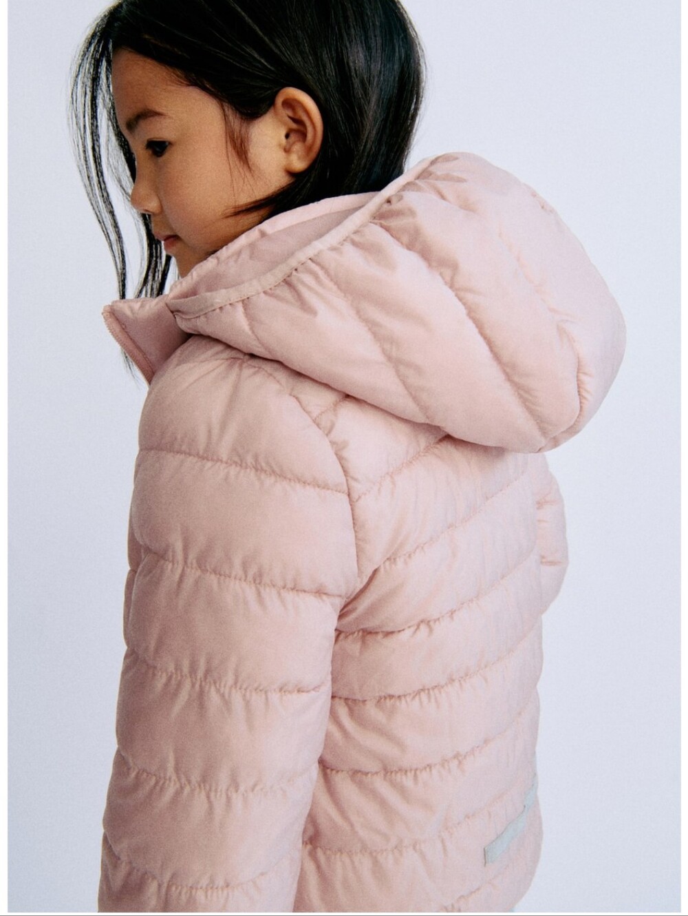 Jacket - Picture 2 of 8